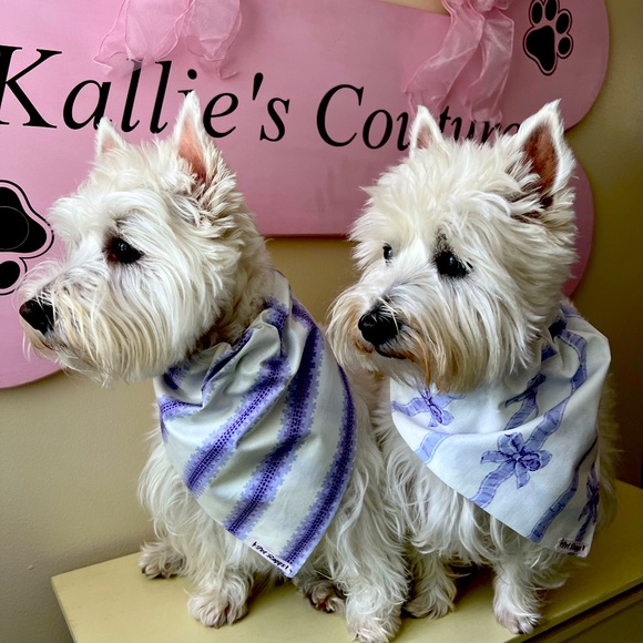Pet Raggs Other - Designer self-lined bandana set. 2” casing to slide collar through.